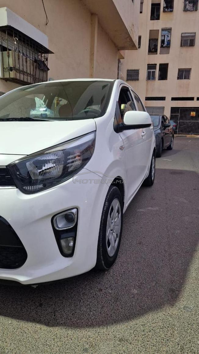 kia Picanto 
