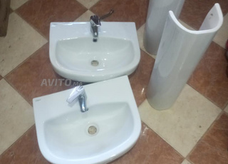 Vente de femelles en bon état