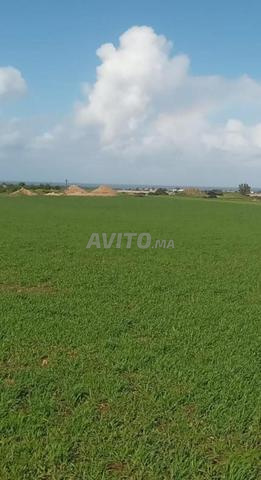 Terrain agricole vue sur mer région ola blanca