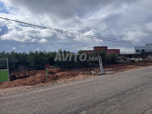 مزرعة صغيرة على بعد 10 كيلومترات من مكناس على الطريق