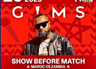 2 tickets gims fan zone anfa Park