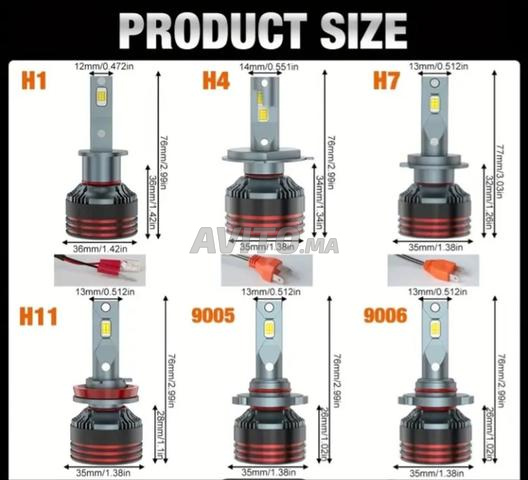 توربو ليد الأصلي المغرب توصيل مجاني - 2