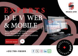 Site web pour Agence Immobilière