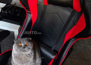 Chaise Gamer DX-racer ◼️🌤️