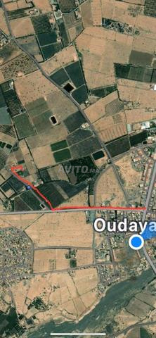 Terrain à vendre - 1000 mètres carrés Marrakech - Commune d'Al Oudaia