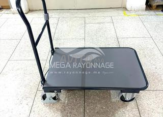 Chariot à dossier repliable – 250kg