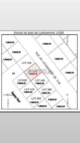 Lot 117m2 Riad Azzaytoune, Mega d’or - 2