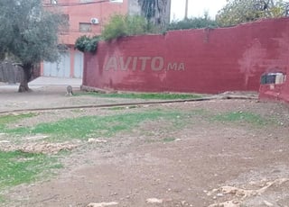 Terrain titré à vendre 52 mètres à Dar Debbagh