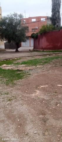 بقعة محفظة للبيع 52 مترو بدار الدباغ - 2