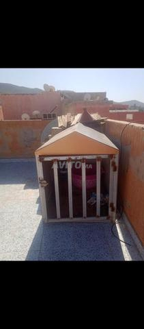 Niche pour chien en fer