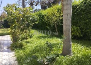 Villa à louer à 200m de mall rabat centre