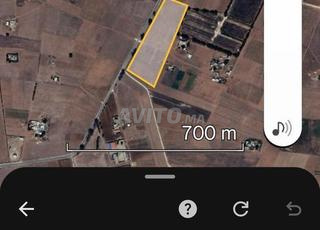 3.5 هكتارات في بئر جديد