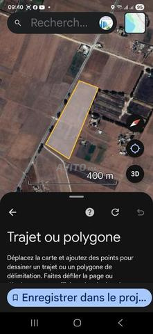 3.5 hectares à bir jdid