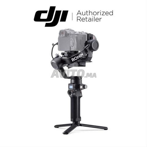 وجدة المدينة