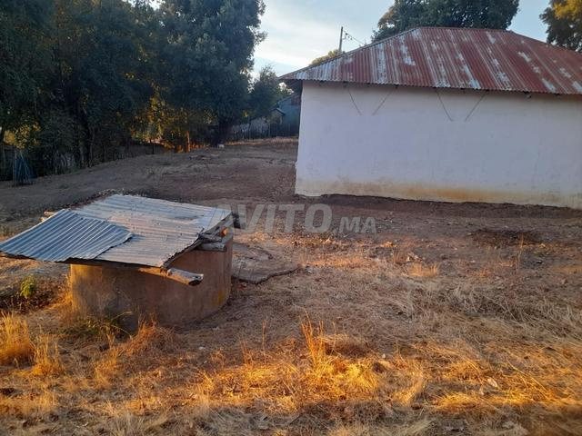 منزل جبلي صالح للسكن معه 1500 متر مربع نسيج بسياج - 2