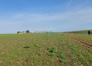 أرض ذات سند ملكية بحري 8800م2 سهول سلا