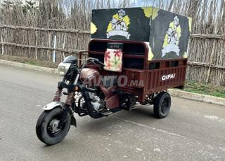 دراجة ثلاثية العجلات Qipai