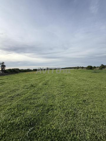 Hectare titré emplacement extraordinaire