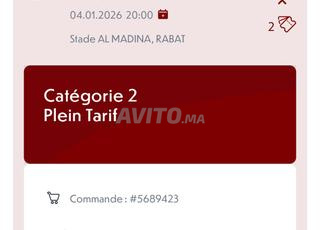 Afrique du Sud Cameroun 1/8eme finale