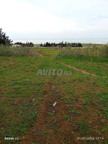 أرض للبيع على الطريق - 2