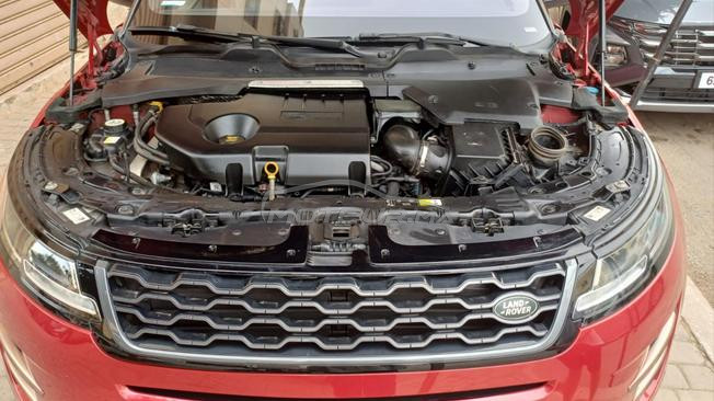 bb velar a vendre