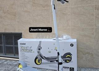 تروتنيت TROTTINETTE للأطفال NINEBOT ZING C10