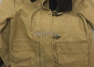 مانجو موديل 2025