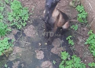 فرصة يجب اغتنامها