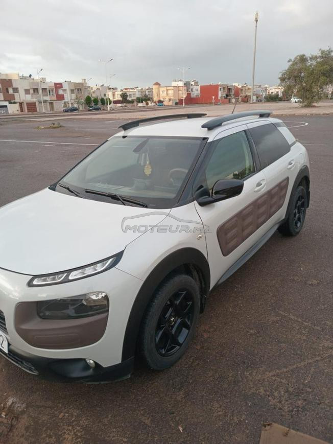 c4 cactus 