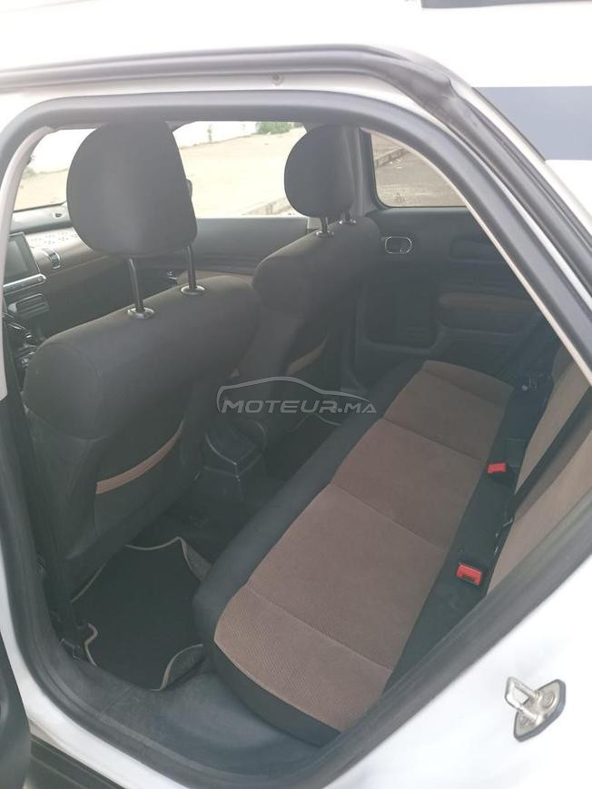 c4 cactus 