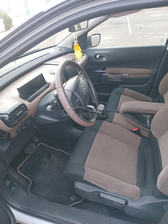 c4 cactus 