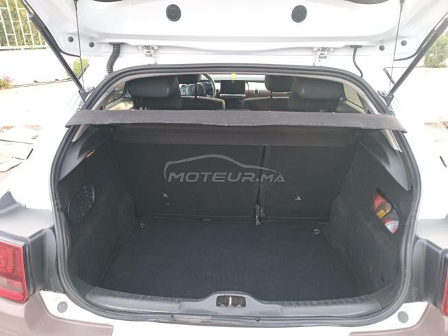 c4 cactus 