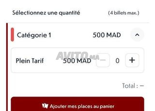 Match Afrique du Sud vs Cameroun catégorie 1