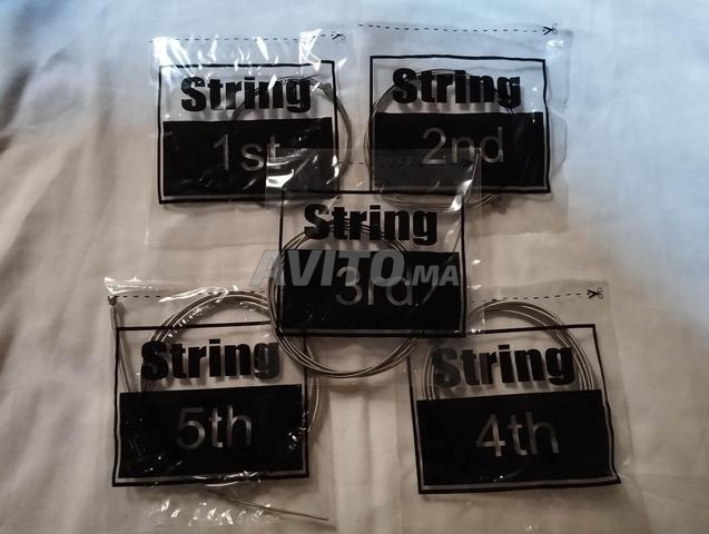 قيثارة كهربائية باس 5 أوتار - Les Cordes Bass 5