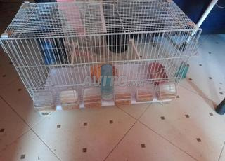 Cage pour oiseaux