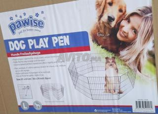 حظيرة للكلاب