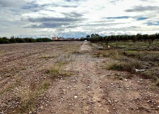 أرض 10 هكتارات طريق تهناوت 9 كلم