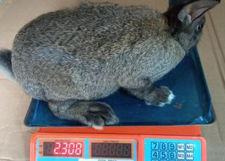 الجديدة مولاي عبد الله