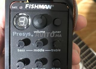 fishman de guitare