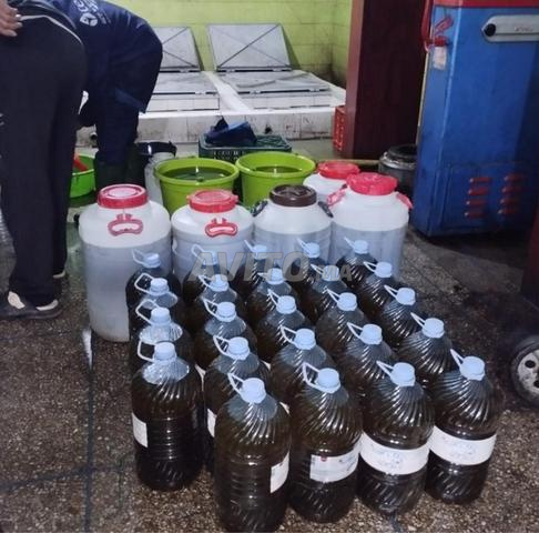 زيت زيتون بلدي بيو - أراضي الحوز