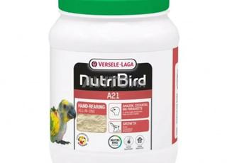 A21 pour les petits oiseaux