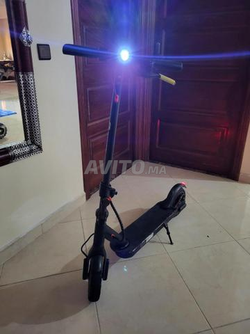 تروتينيت كهربائي