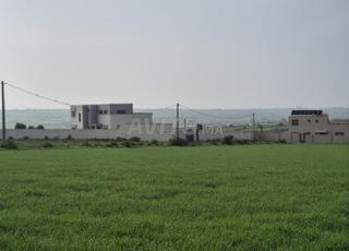 بقعة محفظة قرب الجديدة