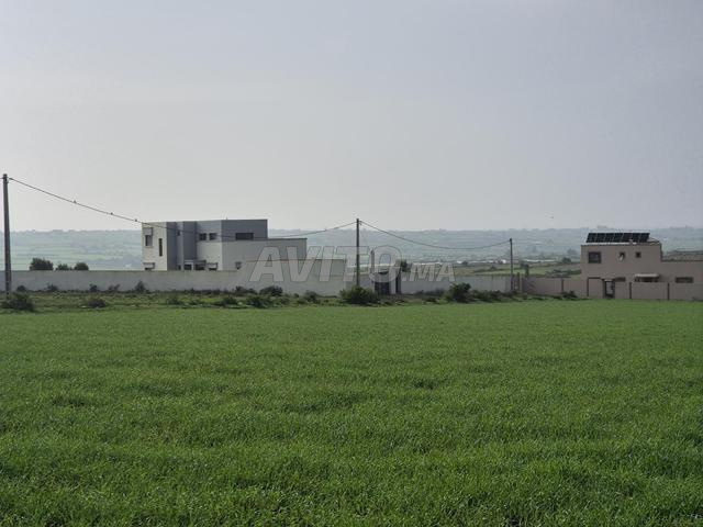 بقعة محفظة قرب الجديدة