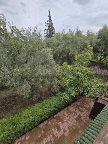 مزرعة مطلة على جبال الأطلس - 2