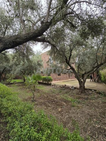 Une ferme vue sur les montagnes d'atlas