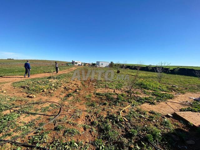 أرض فلاحية مسقية ومحفظة - 2