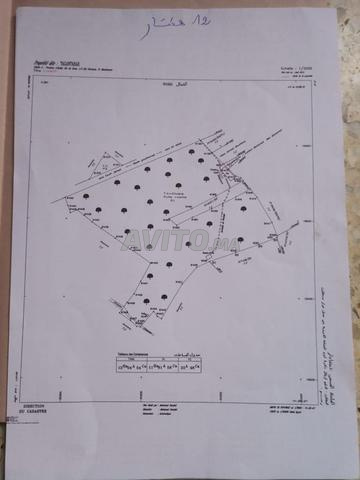 Vente d'une ferme de 12 Ha