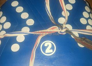 DAEDO CHEST PROTECTOR