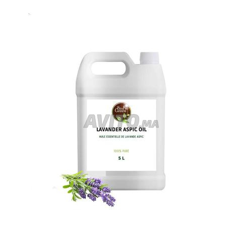 زيت أساسي من الخزامى المدببة (Lavandula latifolia) نقي وطبيعي 100%